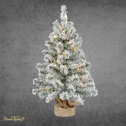 Verschneites Mini-Tannenbäumli mit Lichterkette für Weihnachtsdekoration in Zürich verschicken