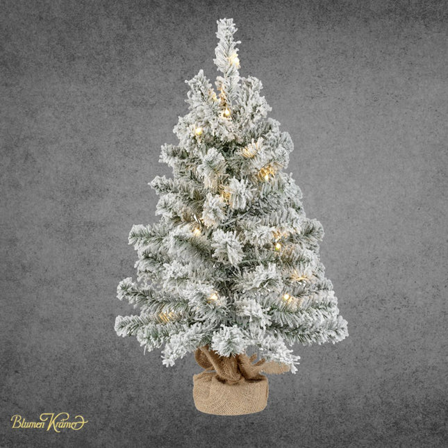 Verschneites Mini-Tannenbäumli mit Lichterkette für Weihnachtsdekoration in Zürich verschicken