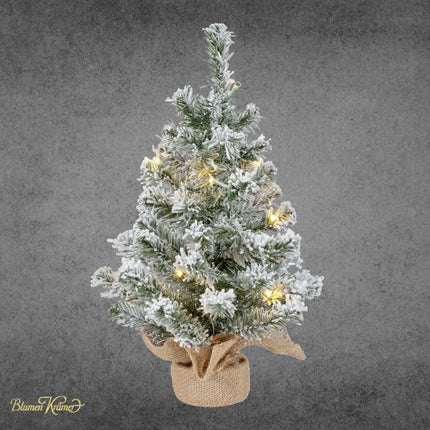 Verschneites Mini-Tannenbäumli mit Lichterkette für Weihnachtsdekoration in Zürich online bestellen