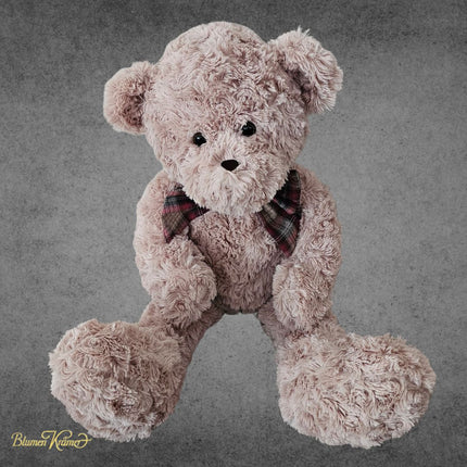 Süsser Kuschel-Teddy als Weihnachtsgeschenk aus Zürich verschicken