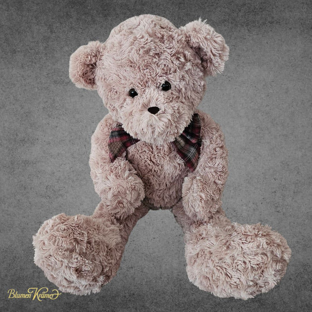 Süsser Kuschel-Teddy als Weihnachtsgeschenk aus Zürich verschicken