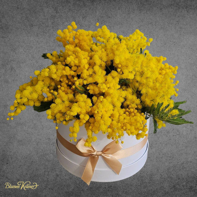 Natürliche Mimosa Blumenbox in Zürich kaufen mit sichtbarem Grün und Lieferung