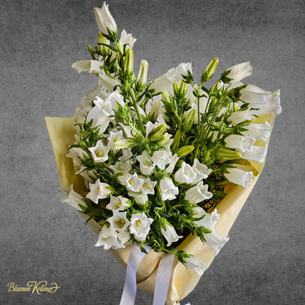 Campanula