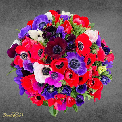 Farbenfroher Frühlings Blumenstrauss mit Anemonen in Rot Pink Violett  verschicken in Zürich