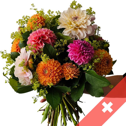 Bella Dahlia Blumenstrauss mit frischen Schweizer Dahlien online bestellen in Zürich