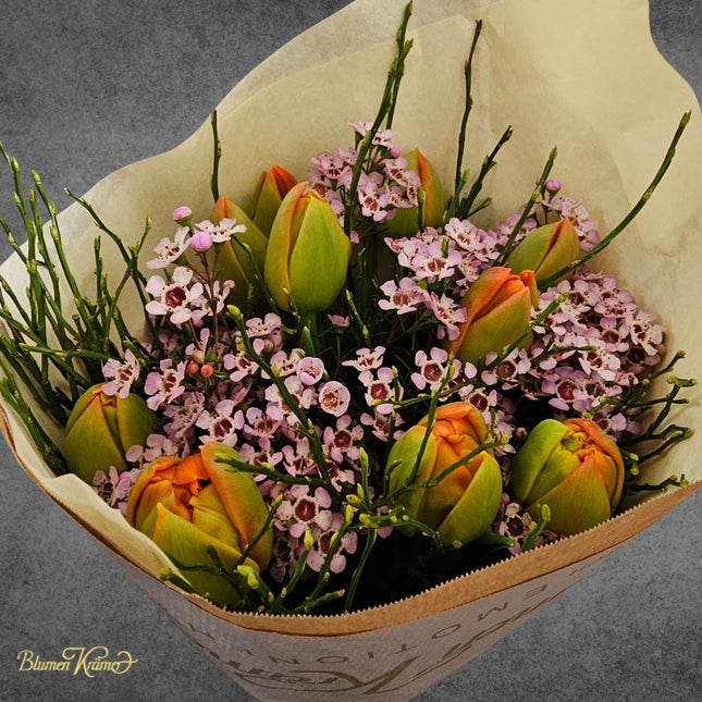 Tulpenstrauss mit Wachsblume in Zürich bestellen Frühlingsstrauss mit orange Tulpen