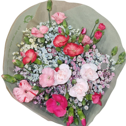 Blumenstrauss Zürich rosa Nelken Schleierkraut online kaufen frische Lieferung