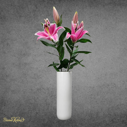 Duftlilien