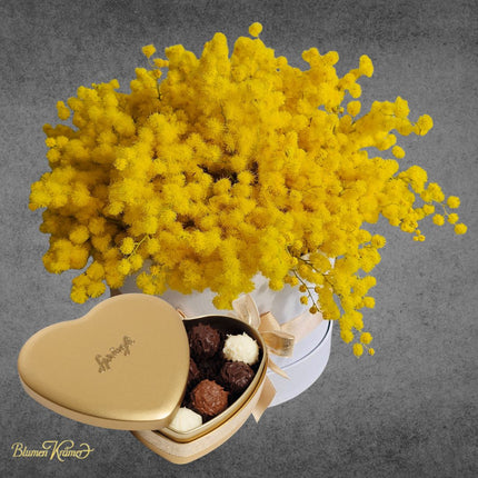 Mimosa Blumenbox zum Frauentag in Zürich kaufen gelbe Mimosen mit Lieferung mit Schokolade