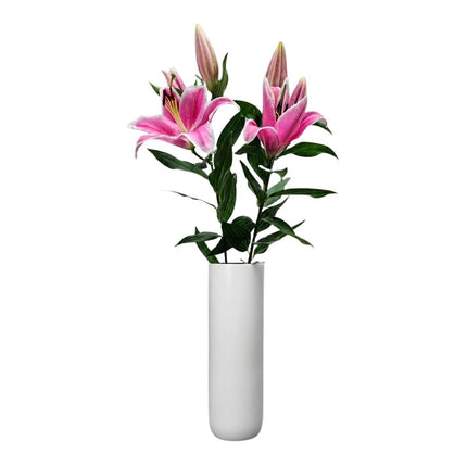 Duftlilien Blumenstrauss mit grossen duftenden Blüten