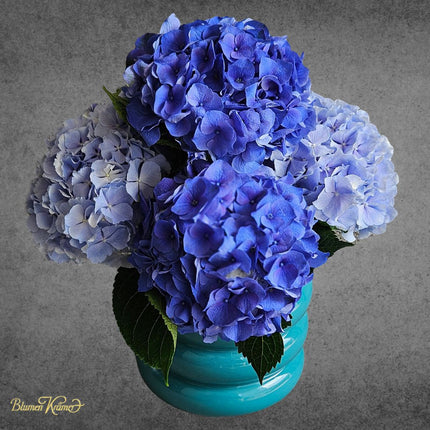 Blaues Monobouquet mit frischen Hortensien in Vase online bestellen Zürich Blumenlieferung