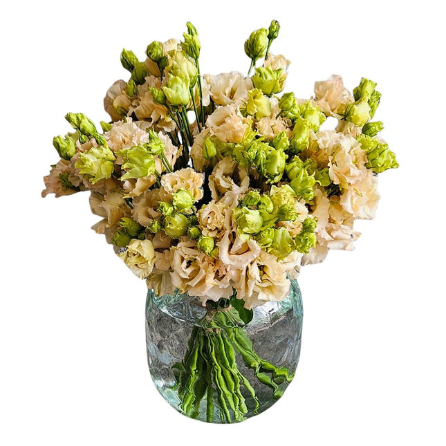 Lisianthus