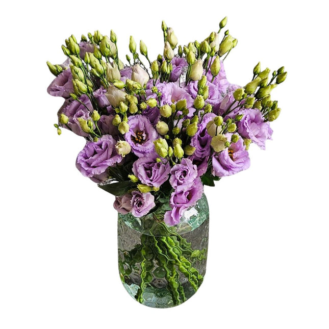 Lisianthus