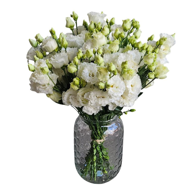 Lisianthus