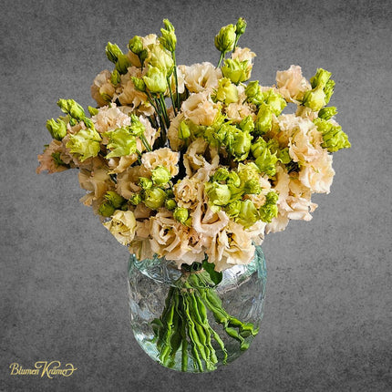 Monobouquet Lisianthus mit frischen Blüten online bestellen Zürich Blumenlieferung