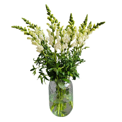 Weisses Löwenmäulchen Monobouquet mit eleganten Blüten