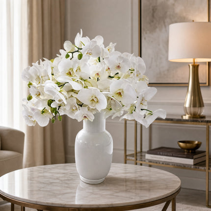Weisse Orchidee als elegante Schnittblume