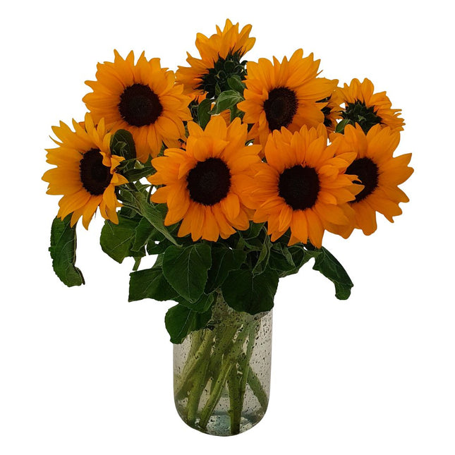 Frische Sonnenblumen in Gelb online bestellen mit Blumenlieferung in Zürich
