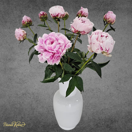 Peonies