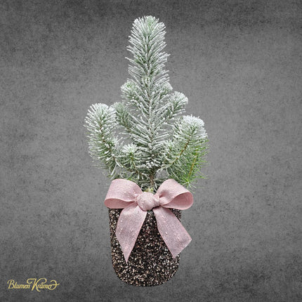 Pinus Pinea mit Schnee im glitzernden Topf und rosa Masche als Winterdeko in Zürich