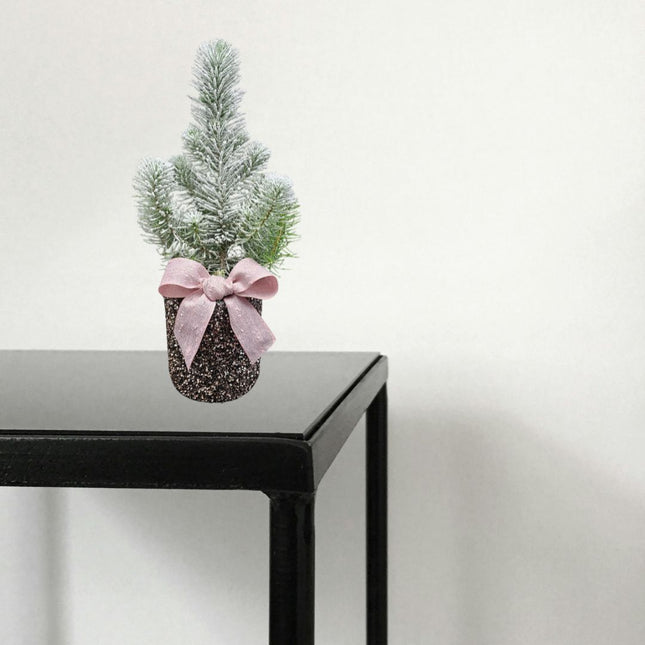 Pinus Pinea mit Schnee im glitzernden Topf und rosa Masche als Winterdeko in Zürich