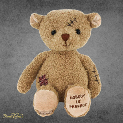 Nobody is perfect Teddy Entschuldigung Geschenk Zürich Teddybär mit Blumenstrauss online kaufen