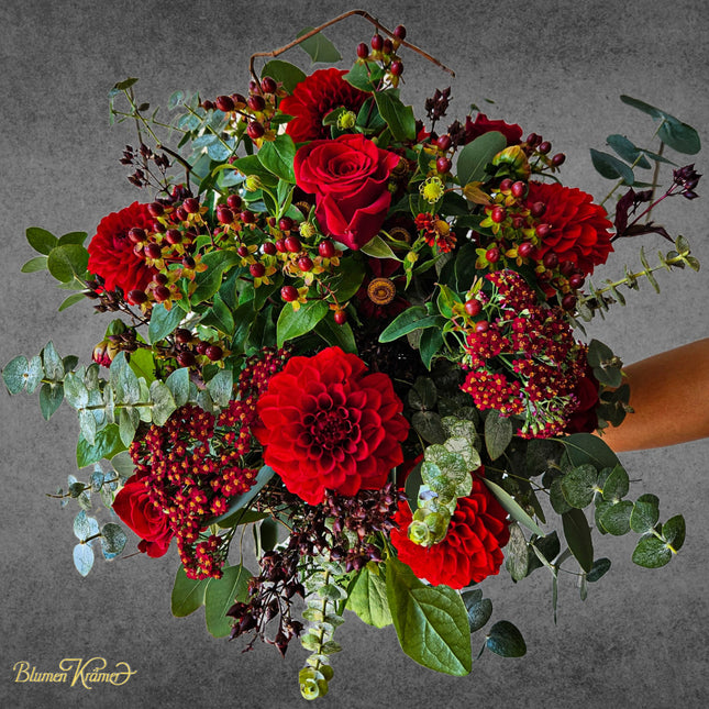 Red Dahlia