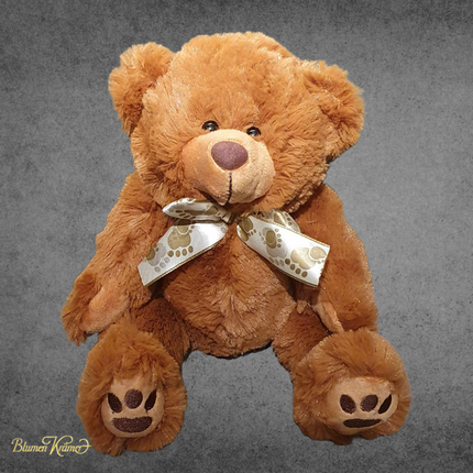 Kuschel Teddy braun oder creme online kaufen in Zürich als Geschenk zur Geburt oder Valentinstag mit Blumen Lieferung