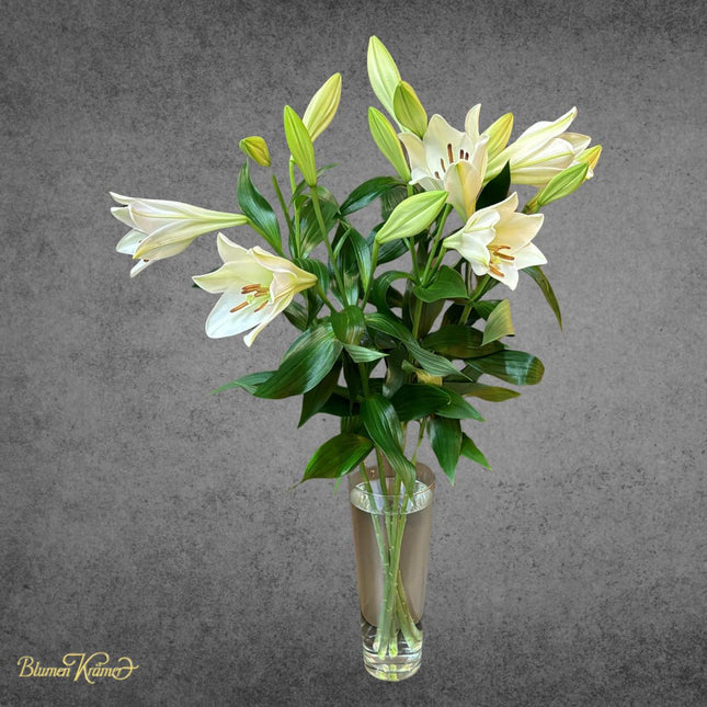 Trumpet Lilies