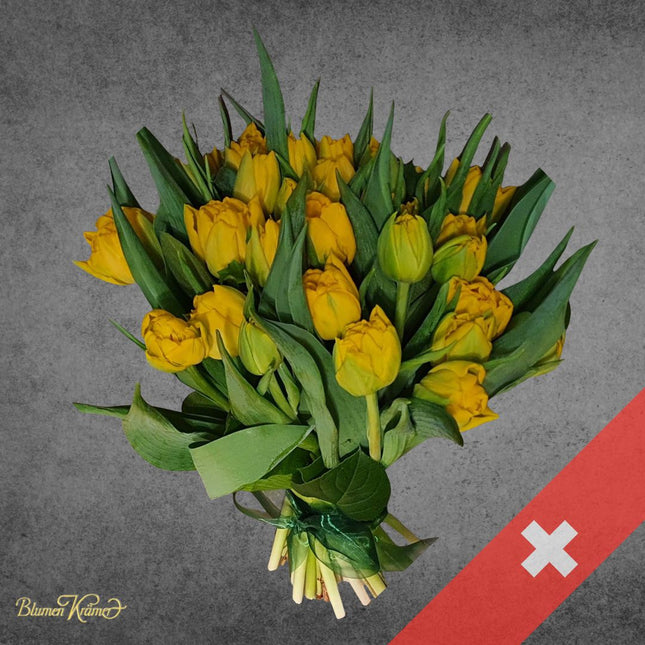 Schweizer Tulpen in Gelb Violett Weiss und Rosa in Zürich kaufen mit Lieferung