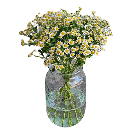 Monostrauss Kamille mit frischen weissen Blüten für Blumenlieferung in Zürich