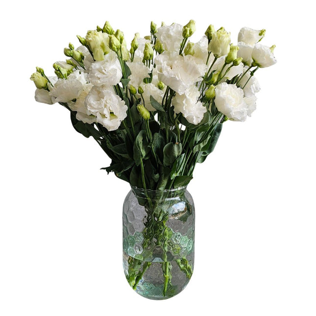 Lisianthus