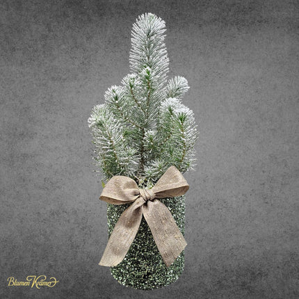 Pinus Pinea mit Schnee im Glitzertopf online kaufen. Winterdeko sofort Lieferung in Zürich ideal als Geschenk