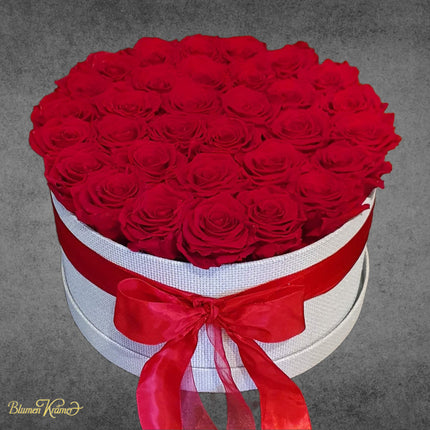 Rose Box Dream