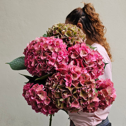 Hortensien Monostrauss pink mit üppigen Blüten