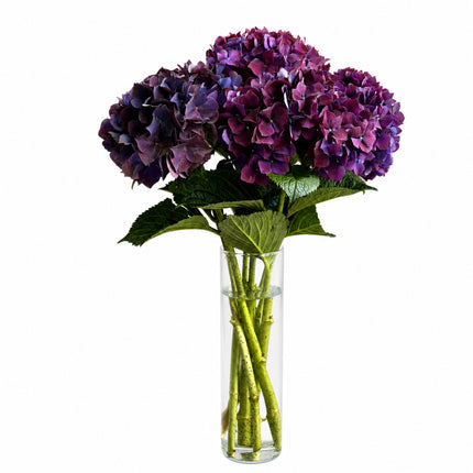 Violetter Hortensien Monostrauss mit üppigen Blüten