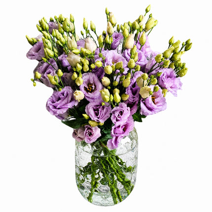 Lisianthus