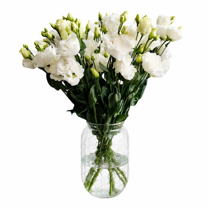 Lisianthus