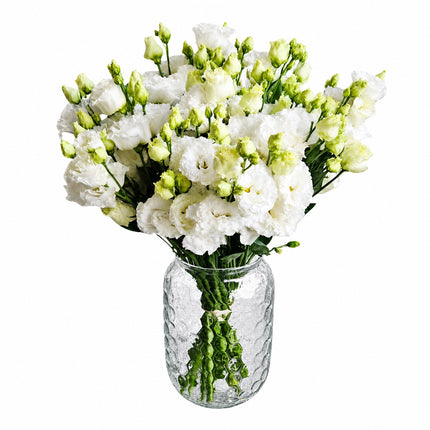 Lisianthus