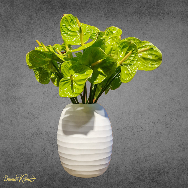 Blumenstrauss_Anthurium_Blumen online bestellen mit Blumenlieferservice