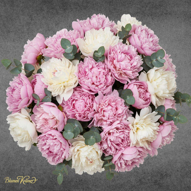 Pfingstrosen Blumenstrauss online kaufen Zürich rosa und weiss edel gebunden Lieferung heute